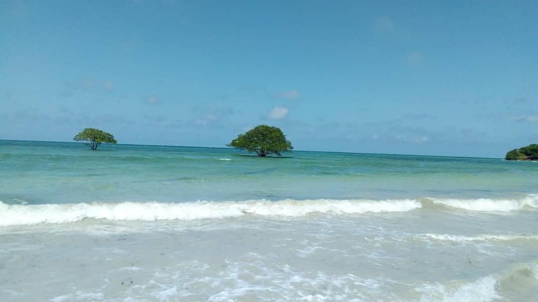 L&J Modern Backpackers Kigamboni Beach House Bed & Breakfast Dar es Salaam Luaran gambar