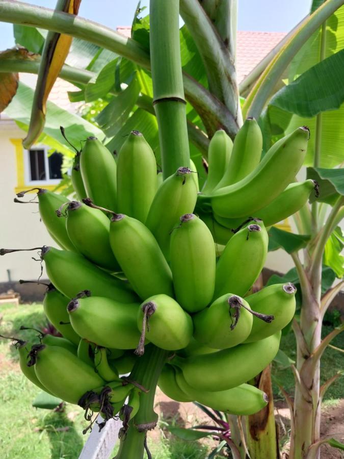 L&J Modern Backpackers Kigamboni Beach House Bed & Breakfast Dar es Salaam Luaran gambar